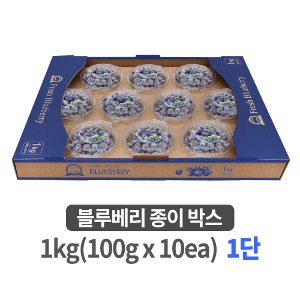 블루베리 종이박스 1kg (100g x 10ea) 1단